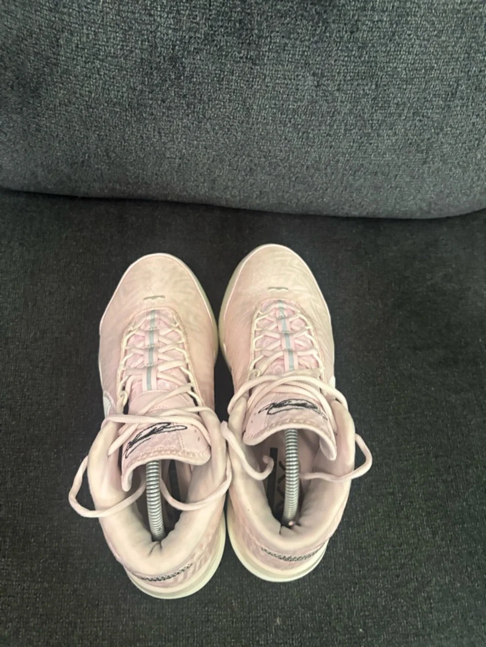 Nike Zoom LeBron NXXT Genisus “Iridescent pink” HF0712-602 Size 8.5